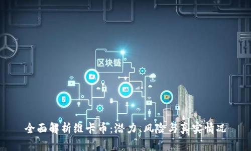 全面解析维卡币：潜力、风险与真实情况