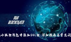 如何在小狐狸钱包中添加SOL链：详细指南与常见