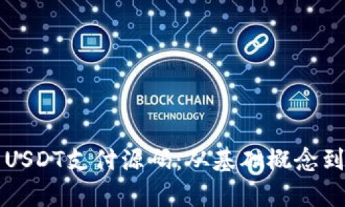 全面解析USDT支付源码：从基础概念到高级应用