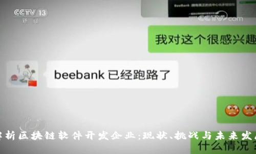 全面解析区块链软件开发企业：现状、挑战与未来发展趋势