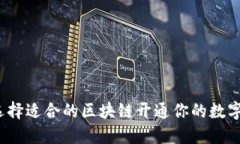 如何选择适合的区块链开通你的数字钱包？