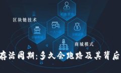 挖矿App的存活周期：多久会跑路及其背后的原因