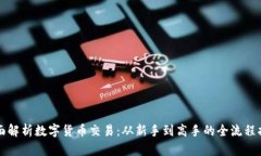 全面解析数字货币交易：从新手到高手的全流程