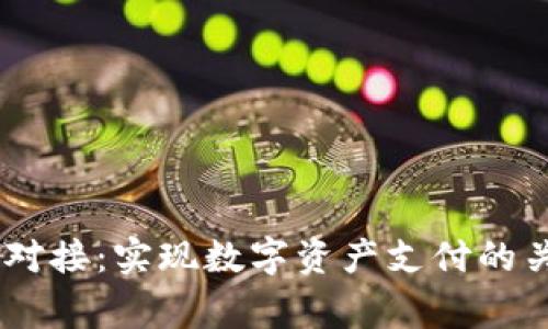 全面解析USDT接口对接：实现数字资产支付的关键步骤与注意事项