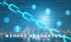 探索神秘野性：坎贝拉的非洲冒险之旅