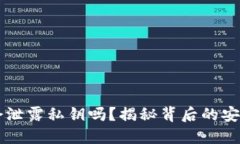 区块链钱包签名会泄露私钥吗？揭秘背后的安全