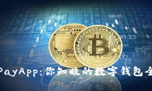 探索GoPayApp：你知晓的数字钱包全新体验