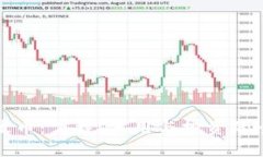 全面解读波币：下载、使用与投资的全方位指南