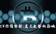 今日比特币（BTC）行情分析：美元走势的影响与