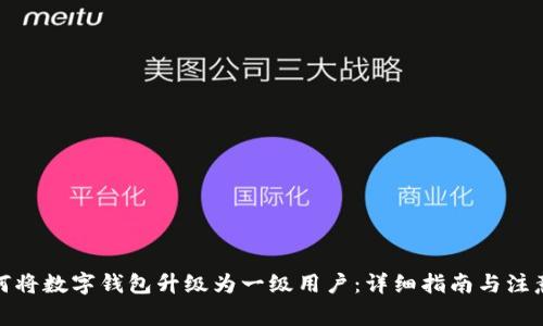 : 如何将数字钱包升级为一级用户：详细指南与注意事项