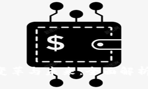 区块链钱包生态的变革与未来：全面解析技术、应用与安全性