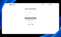 全面解析：哪些加密钱包支持Visa信用卡交易？