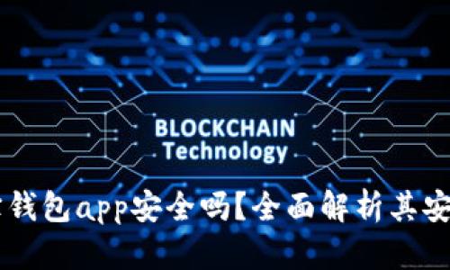 biasoti购宝钱包app安全吗？全面解析其安全性与风险