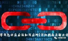 数字钱包被盗后该如何应对？详细指南与解决方