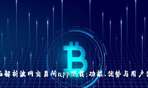 全面解析波网交易所app下载：功能、优势与用户体验