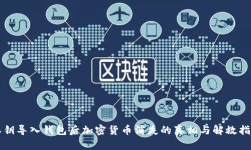 私钥导入钱包后加密货币消失的真相与解救指南