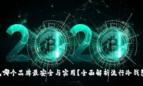 与关键词

BTC冷钱包哪个品牌最安全与实用？全面解析流行冷钱包的优缺点