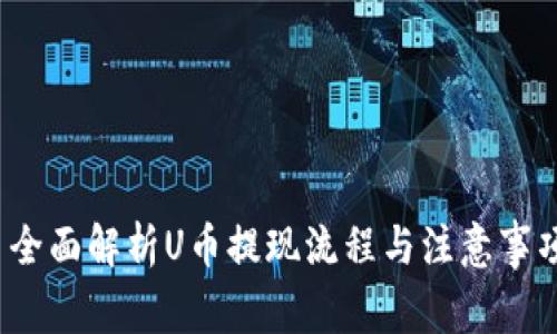  全面解析U币提现流程与注意事项