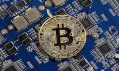 IM钱包支持的数字货币种类及其优势全面解析