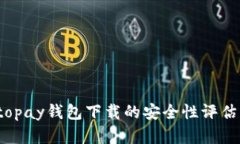 深入分析：topay钱包下载的安全性评估与用户指南