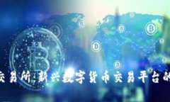 : CITEX交易所：新兴数字货币交易平台的全面解析