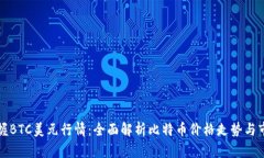 实时掌握BTC美元行情：全面解析比特币价格走势
