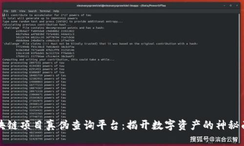区块链项目真伪查询平台：揭开数字资产的神秘面纱