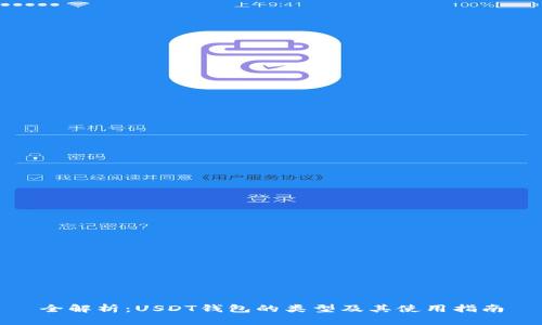 全解析：USDT钱包的类型及其使用指南