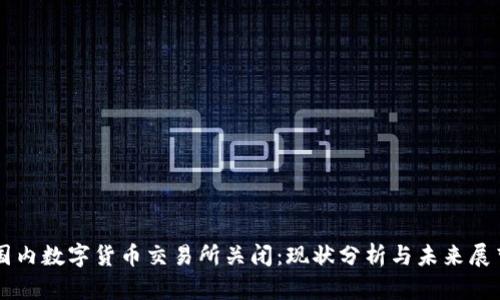 国内数字货币交易所关闭：现状分析与未来展望