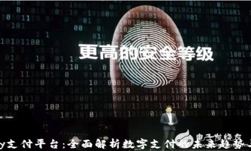 
PPPay支付平台：全面解析数字支付的未来趋势与应用