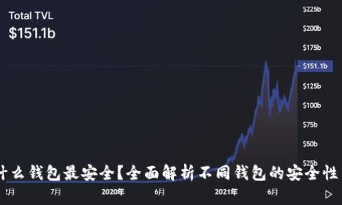 USDT放在什么钱包最安全？全面解析不同钱包的安全性与使用体验