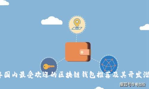 2023年国内最受欢迎的区块链钱包推荐及其开发潜力分析