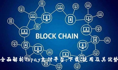 全面解析Topay支付平台：下载、使用及其优势