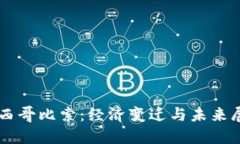 墨西哥比索：经济变迁与未来展望