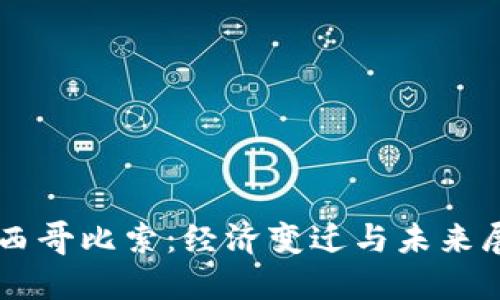 墨西哥比索：经济变迁与未来展望