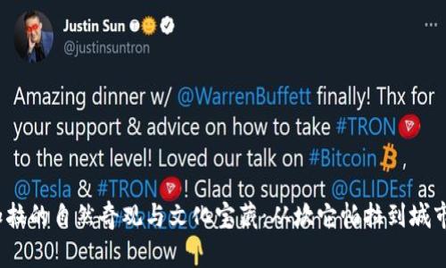  探索孟加拉的自然奇观与文化宝藏：从坎它帕拉到城市的多样性