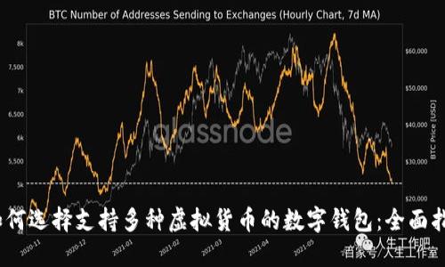 :如何选择支持多种虚拟货币的数字钱包：全面指南