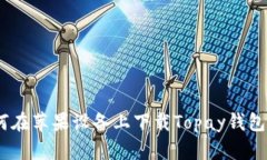 全面解析：如何在苹果设备上下载Topay钱包及其使