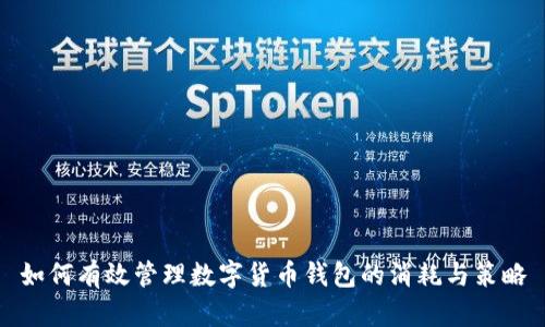 如何有效管理数字货币钱包的消耗与策略