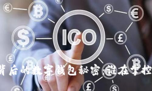 区块链技术背后的数字钱包秘密：谁在掌控我们的资产？
