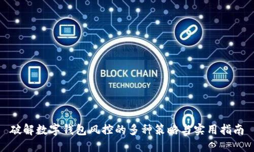 破解数字钱包风控的多种策略与实用指南