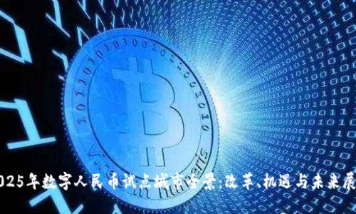 2025年数字人民币试点城市全景：改革、机遇与未来展望