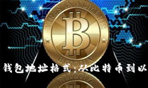 全面解析虚拟币钱包地址格式：从比特币到以太坊的详尽指南