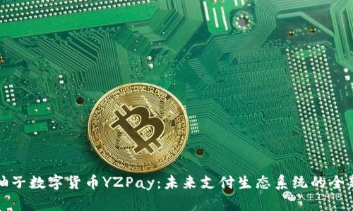 探索柚子数字货币YZPay：未来支付生态系统的全新格局