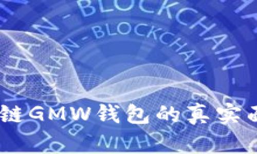 深入解析：区块链GMW钱包的真实面貌与投资风险