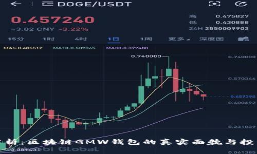 深入解析：区块链GMW钱包的真实面貌与投资风险
