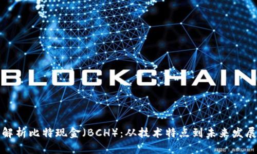 深入解析比特现金（BCH）：从技术特点到未来发展趋势