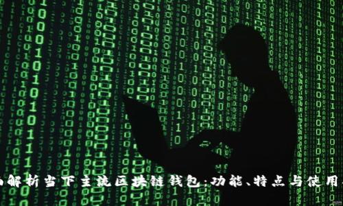 全面解析当下主流区块链钱包：功能、特点与使用指南