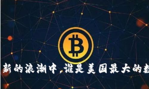 在数字支付革新的浪潮中，谁是美国最大的数字钱包企业？