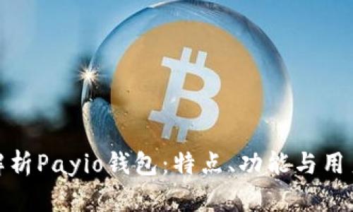 全面解析Payio钱包：特点、功能与用户体验